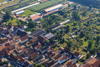 Agricultural halls at Ettenbaum in Kandel in the state Rhineland-Palatinate, Germany seen from above