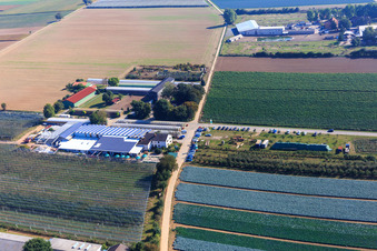 Zapf Farm Market in Kandel in the state Rhineland-Palatinate, Germany viewn from the air