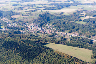 Bitche in the state Moselle, France from above