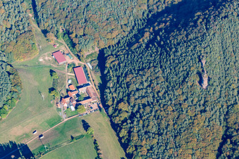 Organic Inn Bärenbrunnerhof in Busenberg in the state Rhineland-Palatinate, Germany