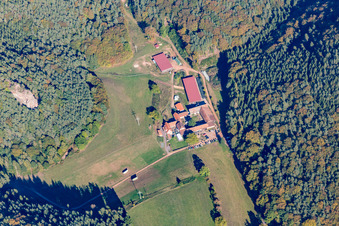 Aerial view of Organic Inn Bärenbrunnerhof in Busenberg in the state Rhineland-Palatinate, Germany