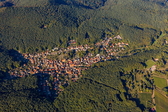 Aerial view of Forest and mountain scenery des suedlichen Pfaelzerwald in Doerrenbach in the state Rhineland-Palatinate