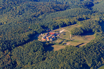 Horse boarding at Liebfrauenberg Monastery in Bad Bergzabern in the state Rhineland-Palatinate, Germany out of the air