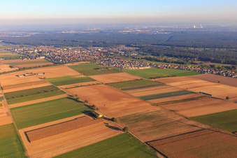 City view from the northwest in Kandel in the state Rhineland-Palatinate, Germany