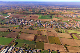 City overview from the south in the district Niederlustadt in Lustadt in the state Rhineland-Palatinate, Germany