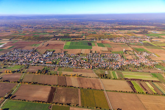 Aerial view of City overview from the south in the district Niederlustadt in Lustadt in the state Rhineland-Palatinate, Germany