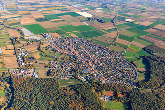 Overview of the village behind the forest from the west in Harthausen in the state Rhineland-Palatinate, Germany