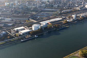 District BASF in Ludwigshafen am Rhein in the state Rhineland-Palatinate, Germany from a drone