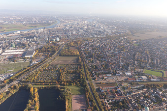 Bird's eye view of District Oppau in Ludwigshafen am Rhein in the state Rhineland-Palatinate, Germany