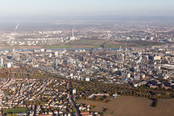 District BASF in Ludwigshafen am Rhein in the state Rhineland-Palatinate, Germany from a drone