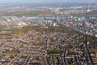 Building and production halls on the premises of the chemical manufacturers BASF in the district Oppau in Ludwigshafen am Rhein in the state Rhineland-Palatinate, Germany