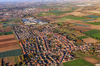 View of the town from the south in Fußgönheim in the state Rhineland-Palatinate, Germany