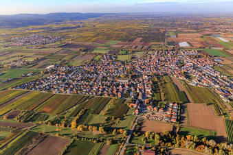 Village overview from the south in Meckenheim in the state Rhineland-Palatinate, Germany