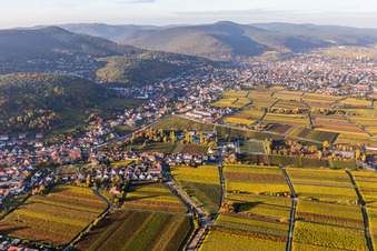 Aerial view of Village - view on the edge of wine yards in the district Hambach in Neustadt an der Weinstrasse in the state Rhineland-Palatinate, Germany