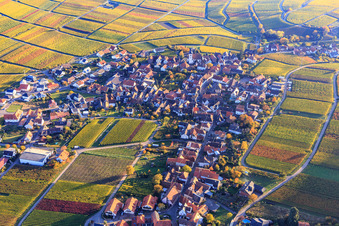 Wine-growing village on the edge of the Haardt in autumn colours from the north in Weyher in der Pfalz in the state Rhineland-Palatinate, Germany