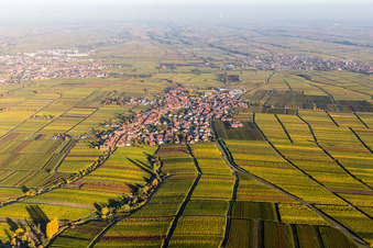 Vineyards in autumn colours in Rhodt unter Rietburg in the state Rhineland-Palatinate, Germany