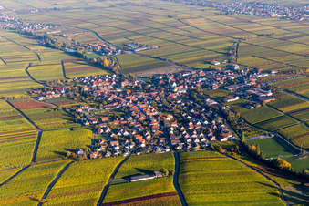 Village - view on the edge of wine yards in sutumn colours in Hainfeld in the state Rhineland-Palatinate, Germany