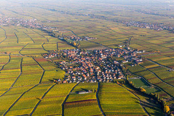 Aerial view of Village - view on the edge of wine yards in sutumn colours in Hainfeld in the state Rhineland-Palatinate, Germany