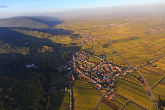 Aerial view of Wine-growing village on the edge of the Haardt in autumn colours from the south in Gleisweiler in the state Rhineland-Palatinate, Germany