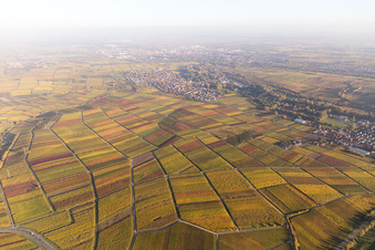 District Godramstein in Landau in der Pfalz in the state Rhineland-Palatinate, Germany from the plane