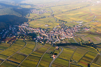 Frankweiler in the state Rhineland-Palatinate, Germany