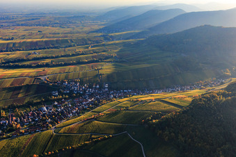 Wine-growing village on the edge of the Haardt in autumn colours from the north in Ranschbach in the state Rhineland-Palatinate, Germany