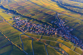 Aerial view of Wine-growing village on the edge of the Haardt in autumn colours from the north in Ranschbach in the state Rhineland-Palatinate, Germany