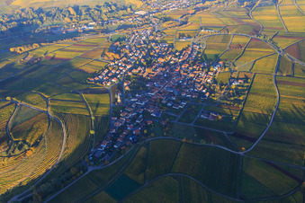 Wine-growing village on the edge of the Haardt in autumn colours from the west in Birkweiler in the state Rhineland-Palatinate, Germany
