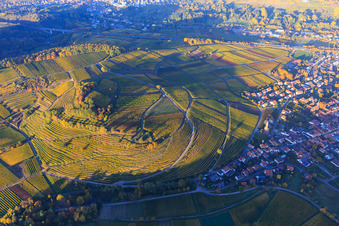 Aerial view of Autumn light colorful vines of the vineyards of the Kastanienbusch location in Birkweiler in the state Rhineland-Palatinate, Germany