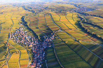 Wine-growing village on the edge of the Haardt in autumn colours from the west in Ranschbach in the state Rhineland-Palatinate, Germany