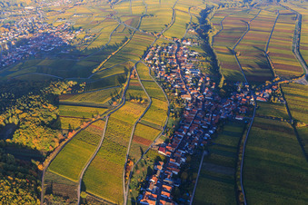 Aerial view of Wine-growing village on the edge of the Haardt in autumn colours from the west in Ranschbach in the state Rhineland-Palatinate, Germany