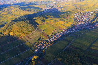 Aerial view of Autumn light colorful vines of the vineyards on the southern slope of the Haardtrand in Ranschbach in the state Rhineland-Palatinate, Germany