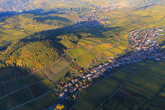 Aerial photograpy of Autumn light colorful vines of the vineyards on the southern slope of the Haardtrand in Ranschbach in the state Rhineland-Palatinate, Germany