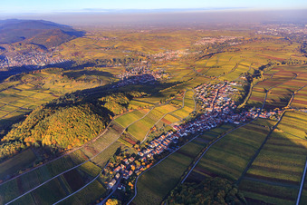 Oblique view of Autumn light colorful vines of the vineyards on the southern slope of the Haardtrand in Ranschbach in the state Rhineland-Palatinate, Germany