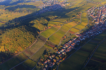 Autumn light colorful vines of the vineyards on the southern slope of the Haardtrand in Ranschbach in the state Rhineland-Palatinate, Germany from above
