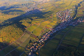 Autumn light colorful vines of the vineyards on the southern slope of the Haardtrand in Ranschbach in the state Rhineland-Palatinate, Germany out of the air