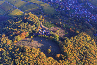 Slevogthof in Leinsweiler in the state Rhineland-Palatinate, Germany from above