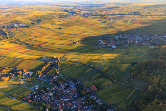 Aerial view of Hotel Leinsweiler Hof between autumnal, colorful vineyards in Leinsweiler in the state Rhineland-Palatinate, Germany