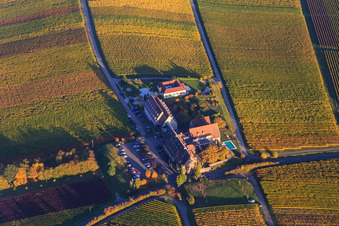 Oblique view of Hotel Leinsweiler Hof between autumnal, colorful vineyards in Leinsweiler in the state Rhineland-Palatinate, Germany