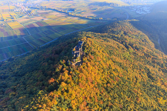 Aerial photograpy of Madenburg castle ruins in the autumn forest at evening light in Eschbach in the state Rhineland-Palatinate, Germany