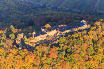 Madenburg castle ruins in the autumn forest at evening light in Eschbach in the state Rhineland-Palatinate, Germany seen from above