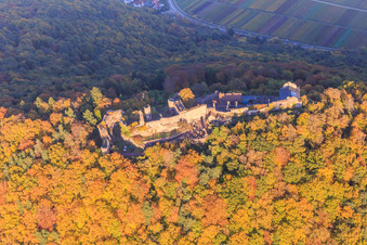 Madenburg castle ruins in the autumn forest at evening light in Eschbach in the state Rhineland-Palatinate, Germany from the plane