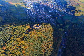 Oblique view of Castle ruins of Landeck Castle in the autumn forest at evening light in Klingenmünster in the state Rhineland-Palatinate, Germany