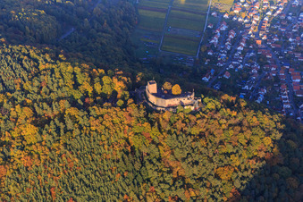 Castle ruins of Landeck Castle in the autumn forest at evening light in Klingenmünster in the state Rhineland-Palatinate, Germany out of the air