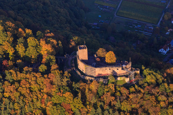 Castle ruins of Landeck Castle in the autumn forest at evening light in Klingenmünster in the state Rhineland-Palatinate, Germany seen from above