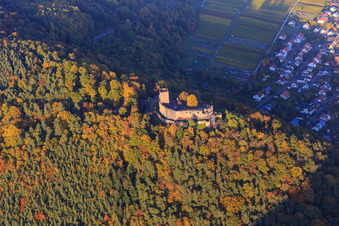 Castle ruins of Landeck Castle in the autumn forest at evening light in Klingenmünster in the state Rhineland-Palatinate, Germany from the plane