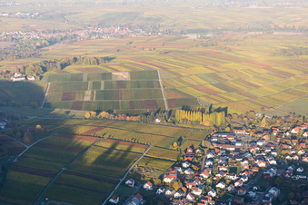 Klingenmünster in the state Rhineland-Palatinate, Germany
