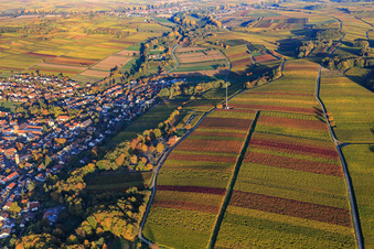 Aerial view of Autumn light colorful vines of the vineyards to Klingen in Klingenmünster in the state Rhineland-Palatinate, Germany