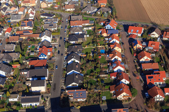 In the Bannholz in the district Hayna in Herxheim bei Landau in the state Rhineland-Palatinate, Germany