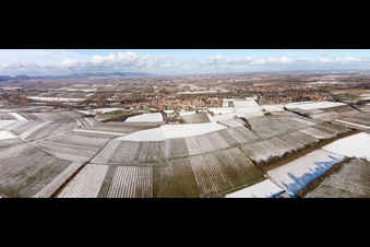 Drone image of District Ingenheim in Billigheim-Ingenheim in the state Rhineland-Palatinate, Germany